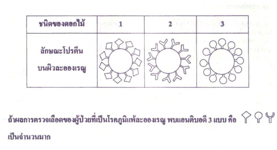 Onet60